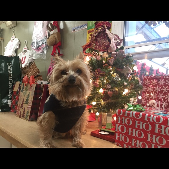 🌸🌼🌸🌼 Share for Share 🌸🌼🌸🌼 - Picture 6 of 7